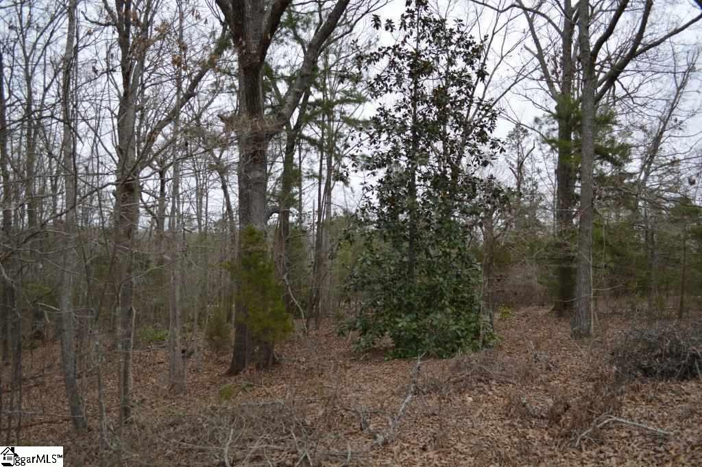 2019 Mt Vernon Church Road Iva, SC 29655 - Photo 17 of 26 Gallery Image 17