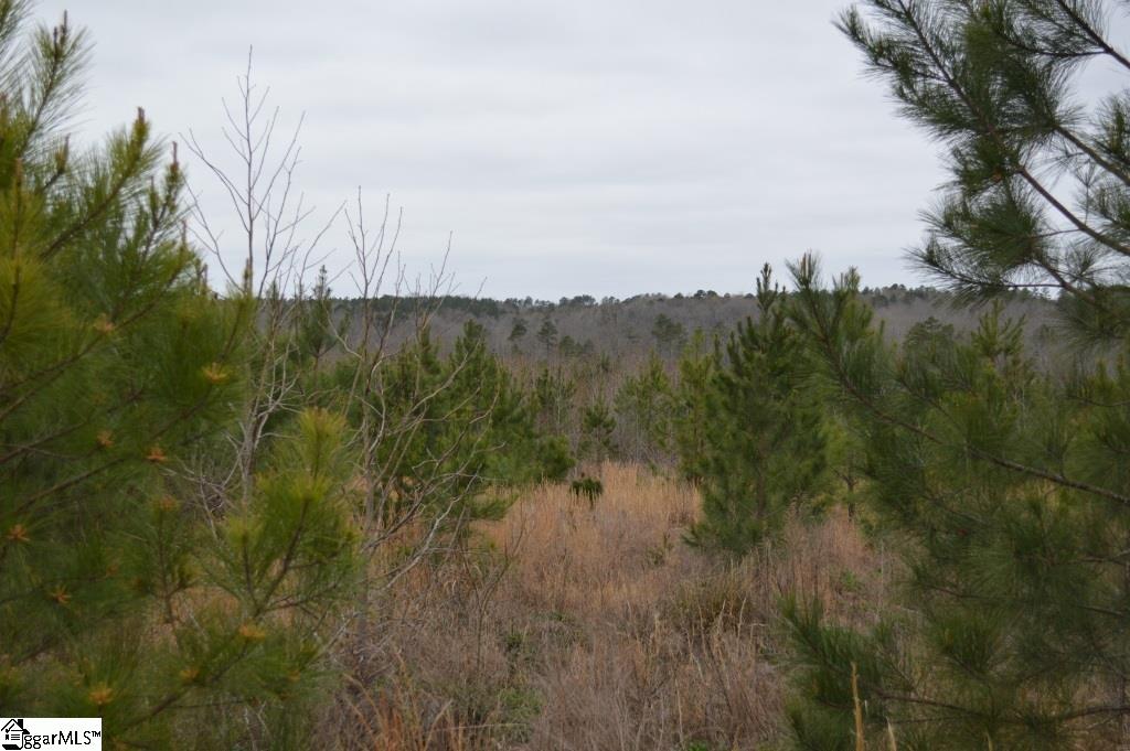 2019 Mt Vernon Church Road Iva, SC 29655 - Photo 18 of 26 Gallery Image 18