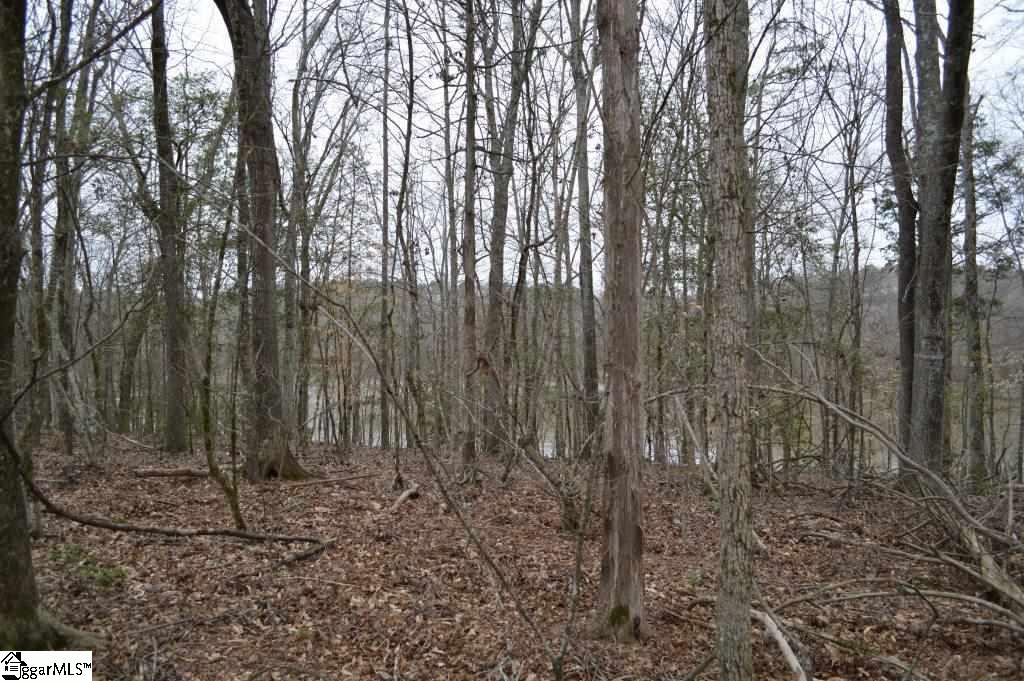 2019 Mt Vernon Church Road Iva, SC 29655 - Photo 20 of 26 Gallery Image 20