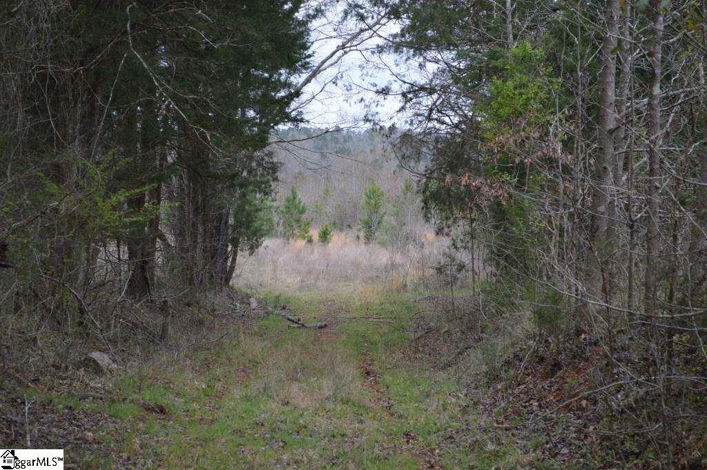 2019 Mt Vernon Church Road Iva, SC 29655 - Photo 3 of 26 Gallery Image 3