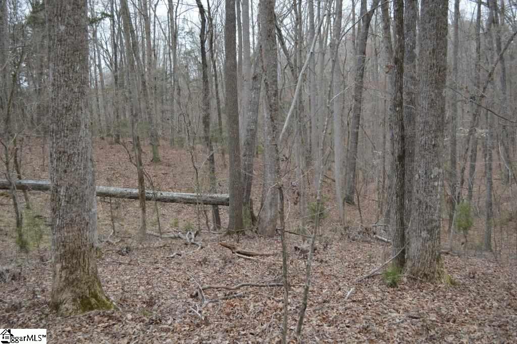 2019 Mt Vernon Church Road Iva, SC 29655 - Photo 4 of 26 Gallery Image 4