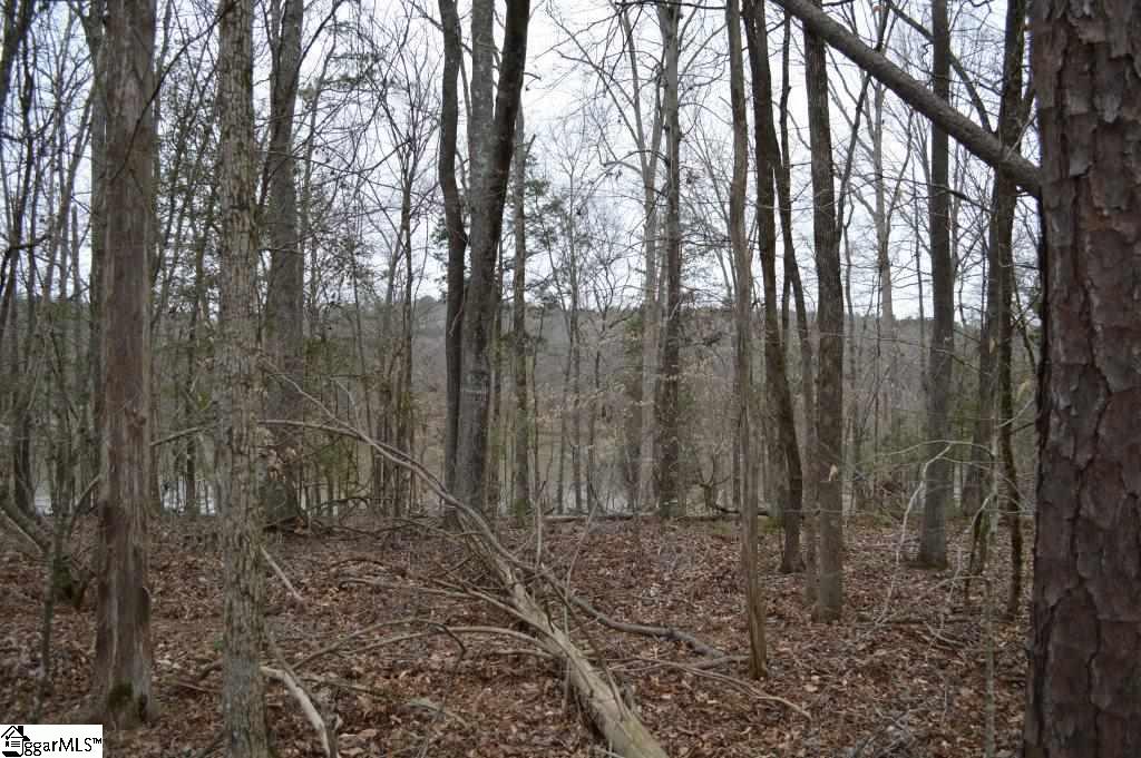 2019 Mt Vernon Church Road Iva, SC 29655 - Photo 5 of 26 Gallery Image 5