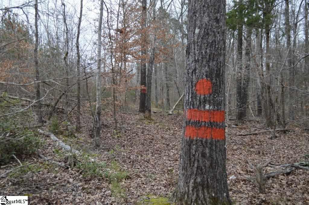 2019 Mt Vernon Church Road Iva, SC 29655 - Photo 6 of 26 Gallery Image 6