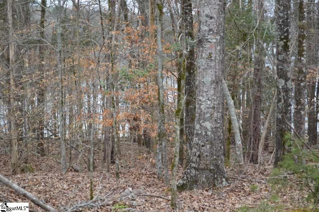 2019 Mt Vernon Church Road Iva, SC 29655 - Photo 8 of 26 Gallery Image 8