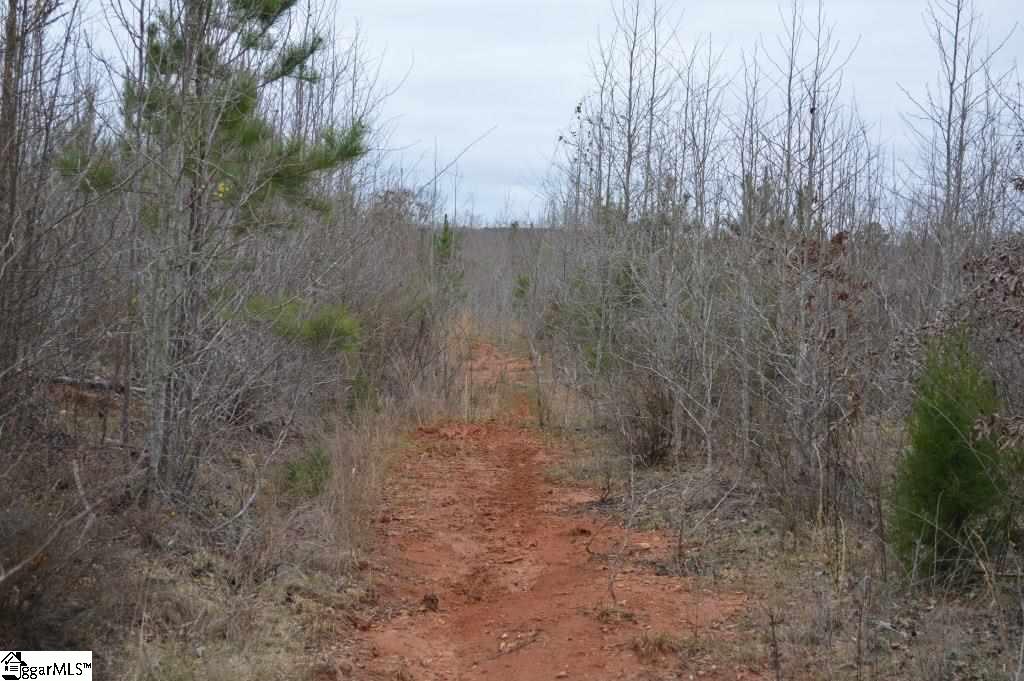 2019 Mt Vernon Church Road Iva, SC 29655 - Photo 9 of 26 Gallery Image 9