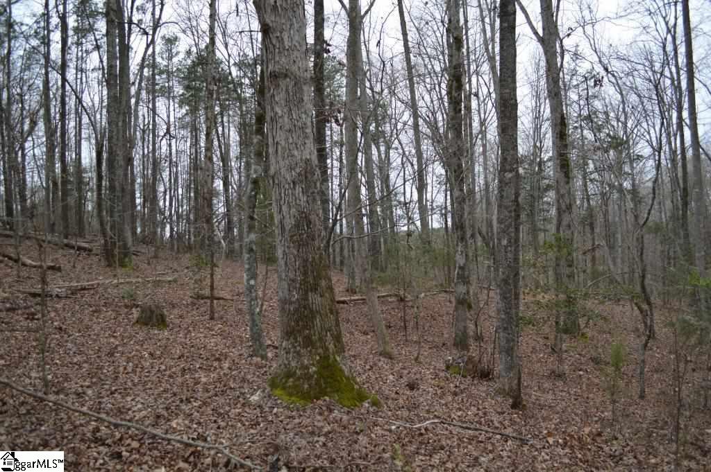 2019 Mt Vernon Church Road Iva, SC 29655 - Photo 10 of 26 Gallery Image 10