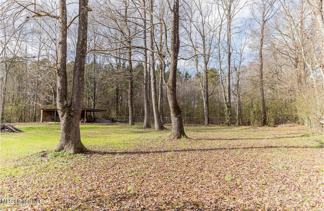 2596 Tank Road Terry, MS 39170 - Photo 6 of 28 IMG_3697