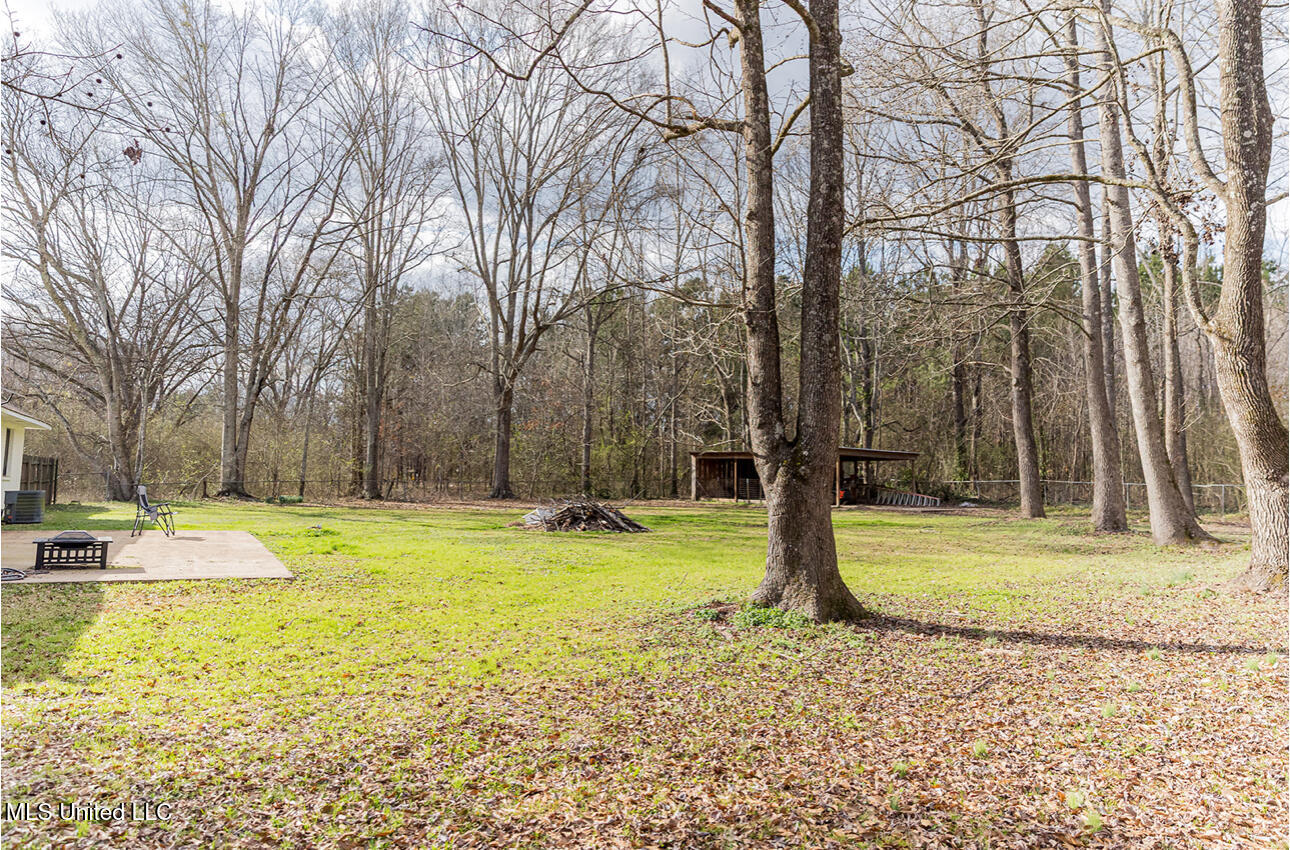 2596 Tank Road Terry, MS 39170 - Photo 7 of 28 IMG_3698