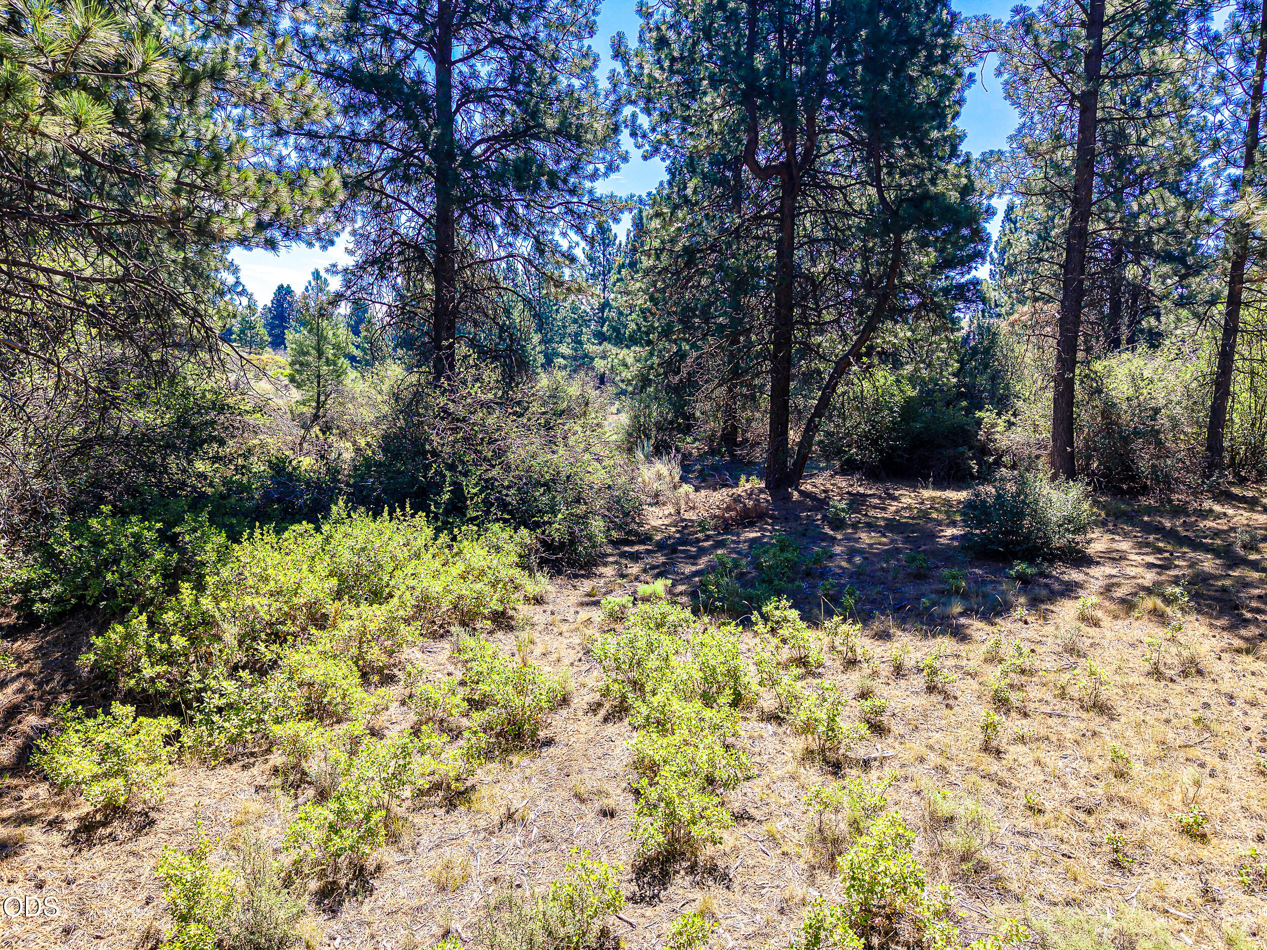 0 Duke Drive Chiloquin, OR 97624 - Photo 7 of 8