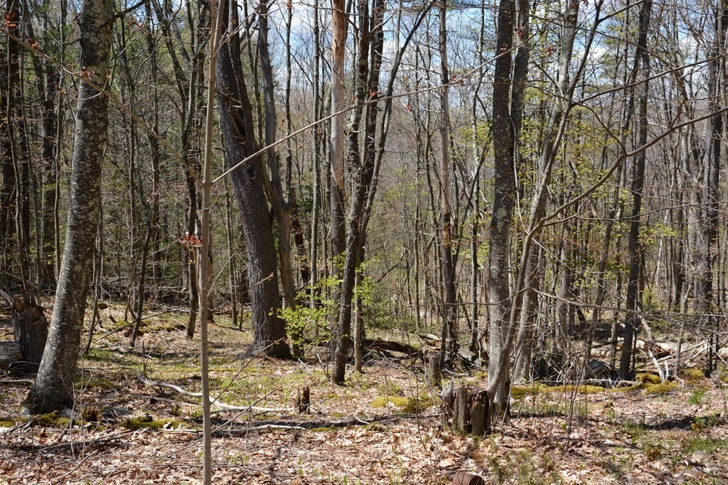 285 Lake Road Ashburnham, MA 01430 - Photo 7 of 7