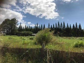0 Puuomalei Road Haiku, HI 96708 - Photo 3 of 6 Gallery Image 3