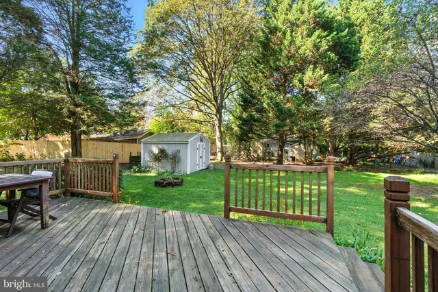 a view of a backyard with a house and a large tree