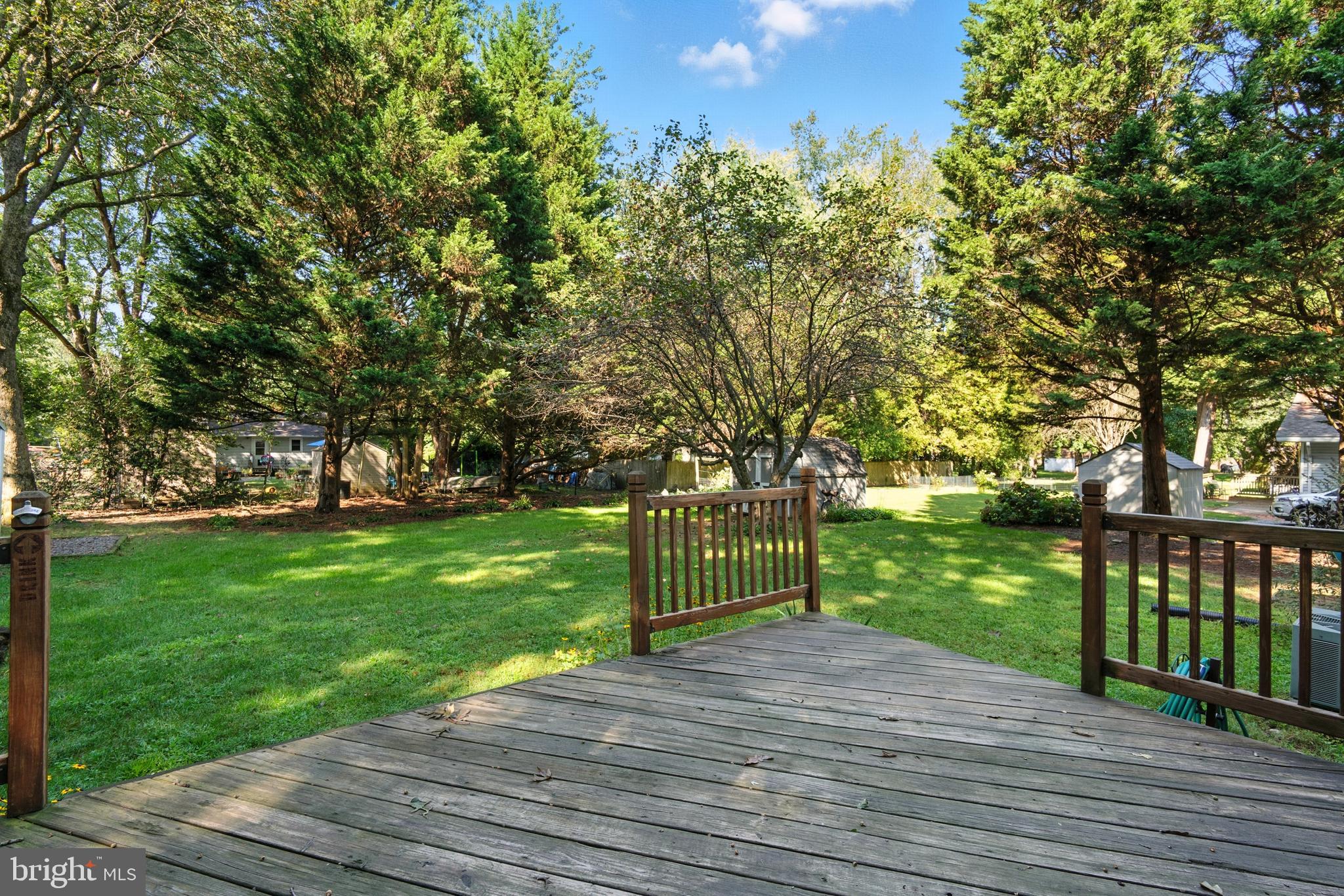 105 Parma Road Chestertown, MD 21620 - Photo 6 of 28 a view of a park with large trees