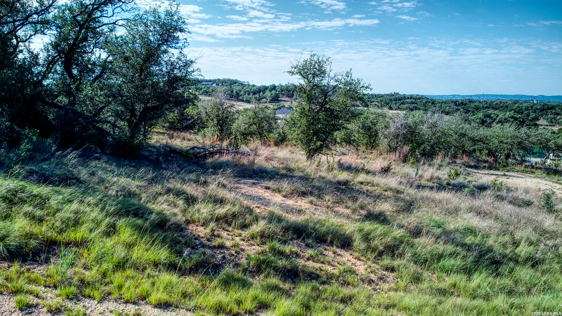 683 Butler Oaks Bulverde, TX 78163 - Photo 10 of 10 a view of a lush green forest with lots of trees