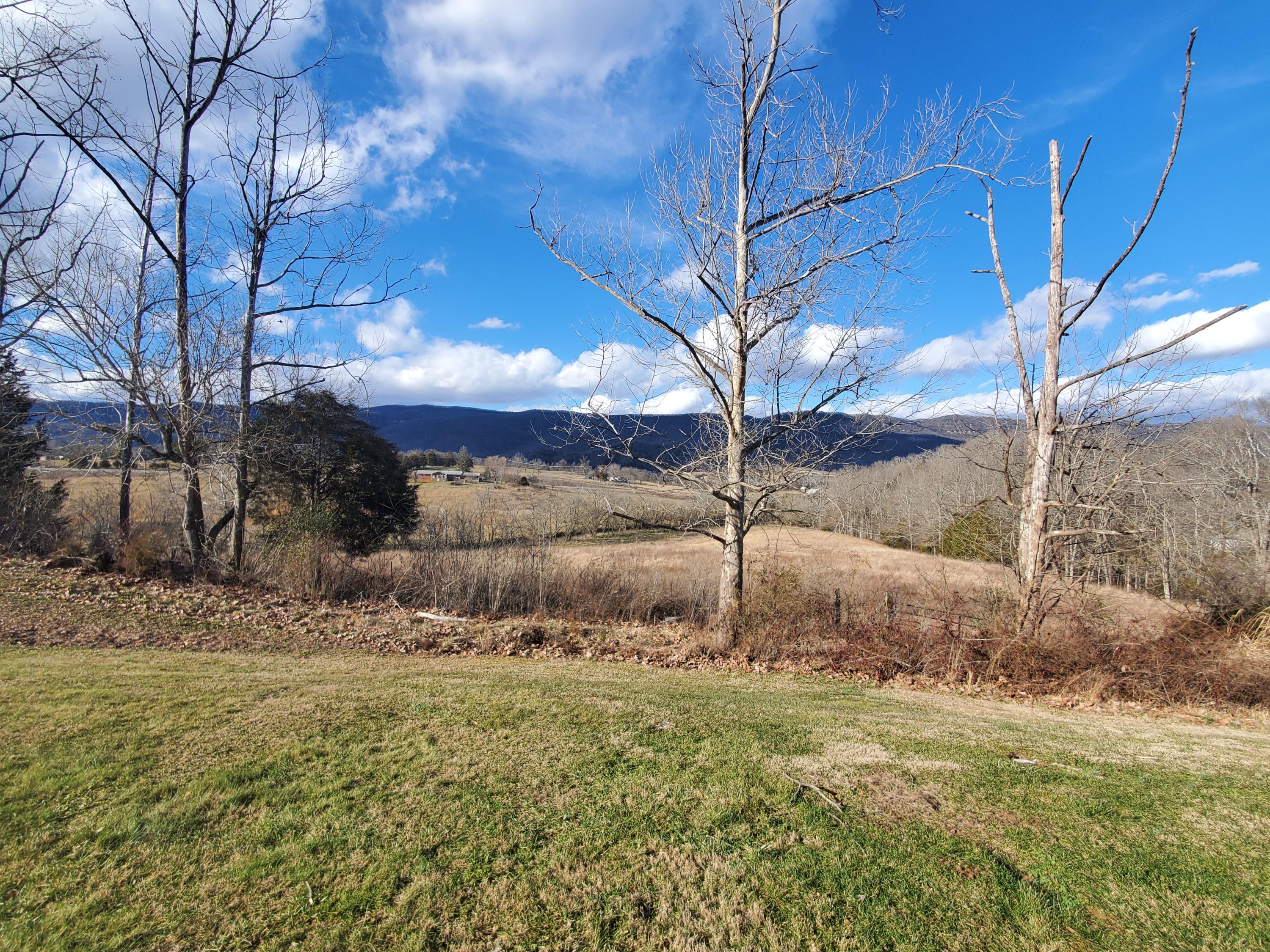 360 Parkey Road Ewing, VA 24248 - Photo 5 of 25 20210205_153914