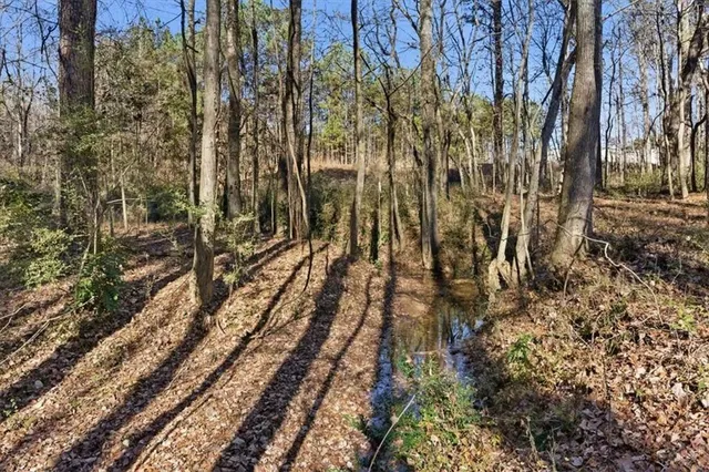 a view of a yard with trees all around