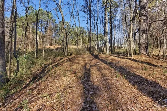 an aerial view of residential houses with outdoor space and trees