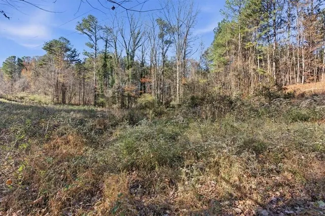 a view of a swimming pool with a yard and mountain view