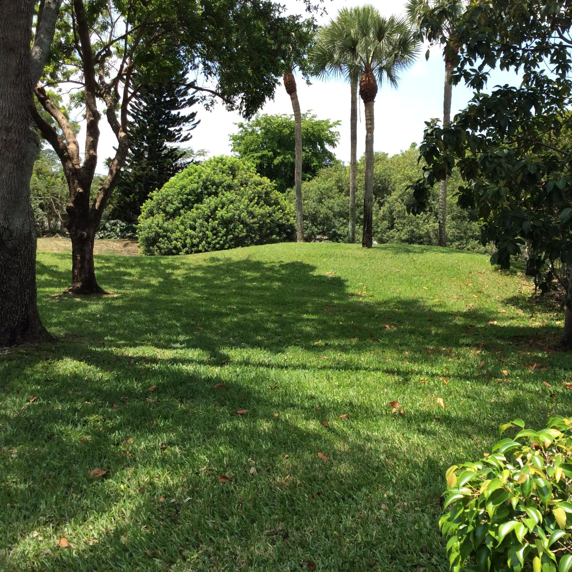 22370 Southwest 57th Circle Boca Raton, FL 33428 - Photo 3 of 21 Side Yard