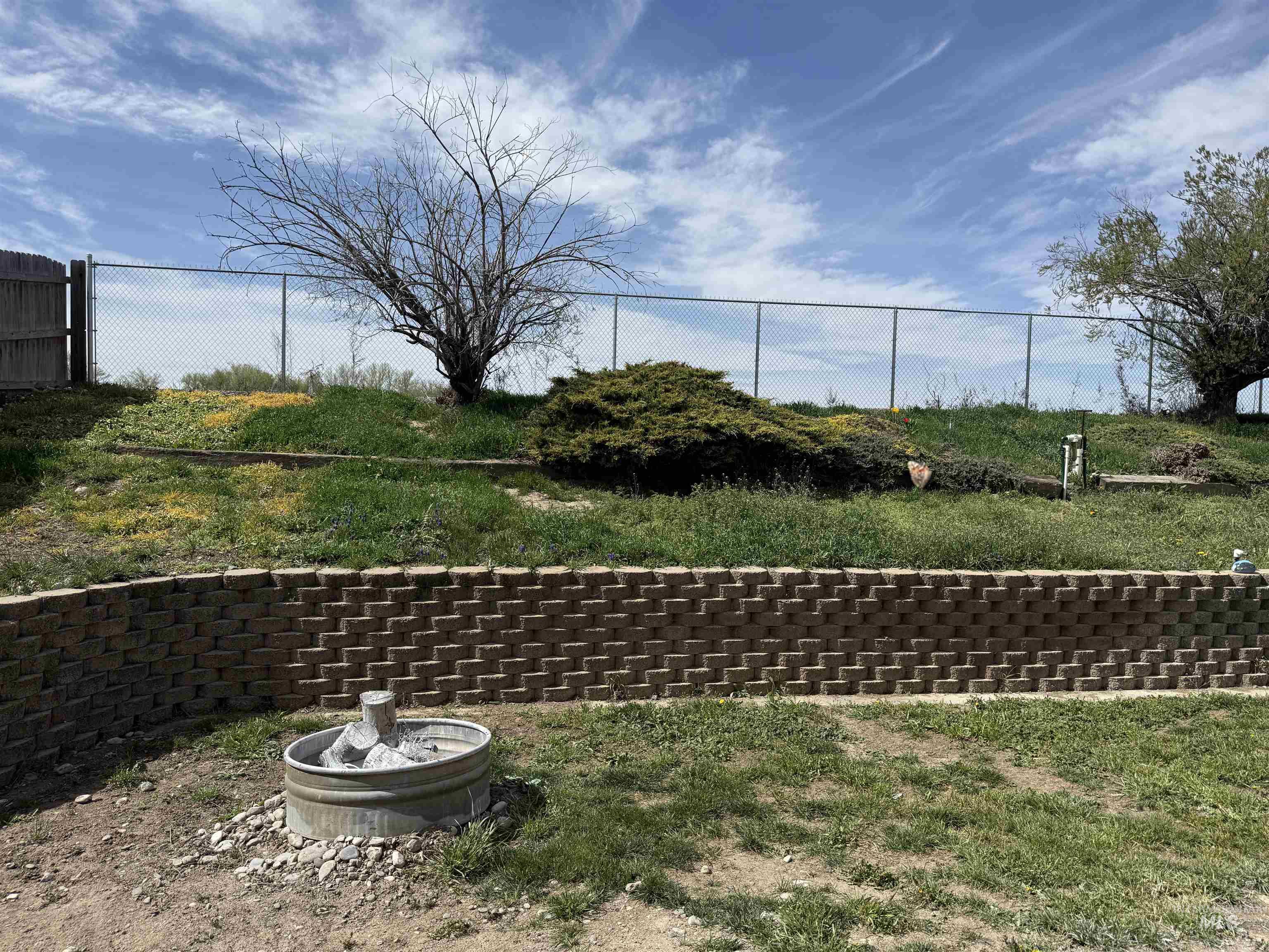 523 Morning Dove Way Marsing, ID 83639 - Photo 5 of 23 View of yard