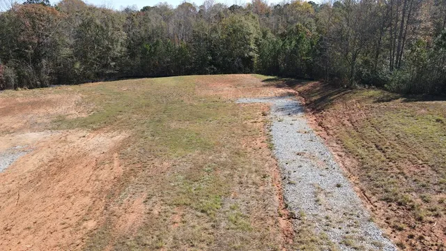 a view of a yard with a trees