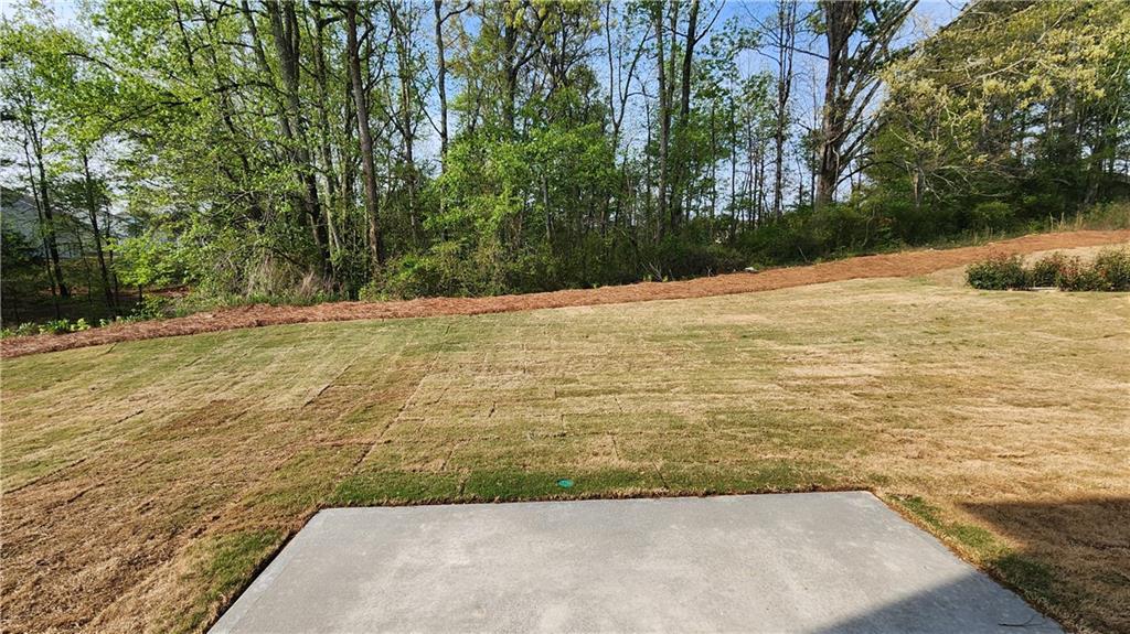 204 Silverleaf Trail Bethlehem, GA 30620 - Photo 27 of 41 a view of a yard with an outdoor space