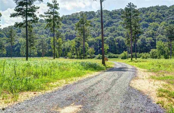 14.94-ac River Road Decatur, TN 37322 - Photo 3 of 25 3