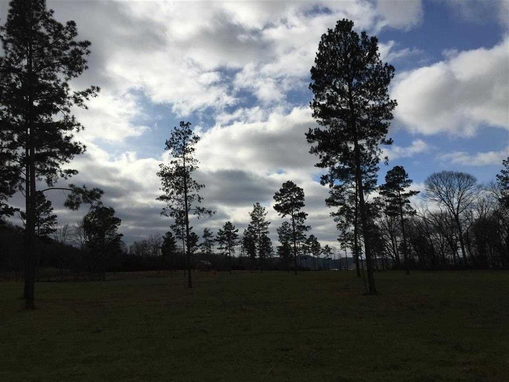 14.94-ac River Road Decatur, TN 37322 - Photo 22 of 25 22