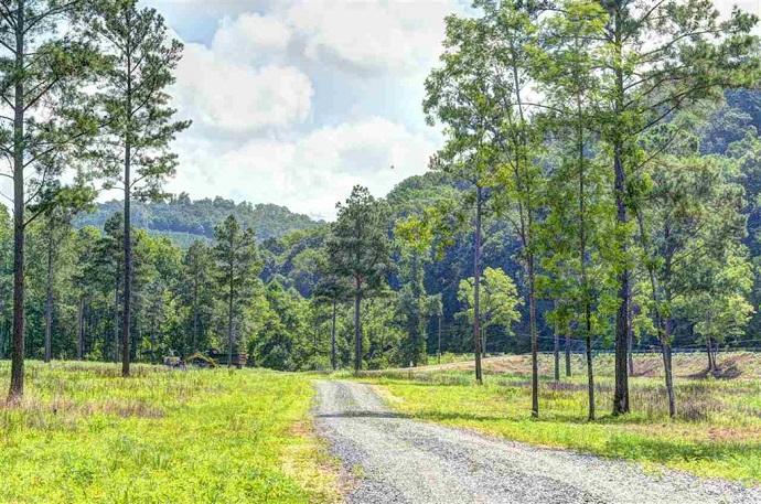 14.94-ac River Road Decatur, TN 37322 - Photo 5 of 25 5