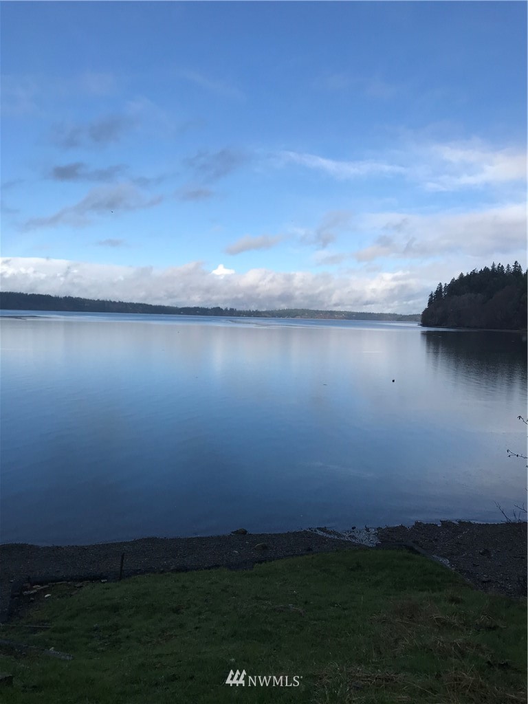 0 Outer Bay Road Anderson Island, WA 98303 - Photo 1 of 12