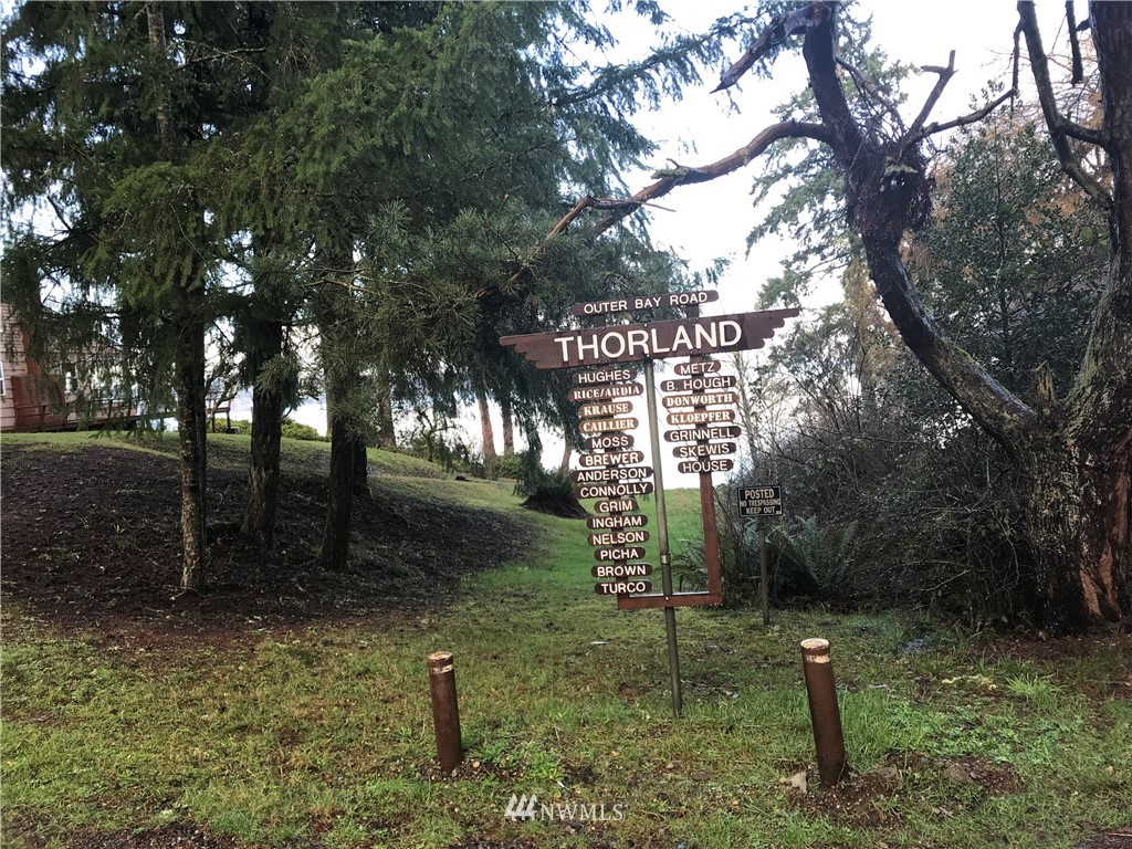 0 Outer Bay Road Anderson Island, WA 98303 - Photo 3 of 12