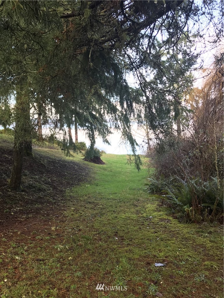 0 Outer Bay Road Anderson Island, WA 98303 - Photo 4 of 12