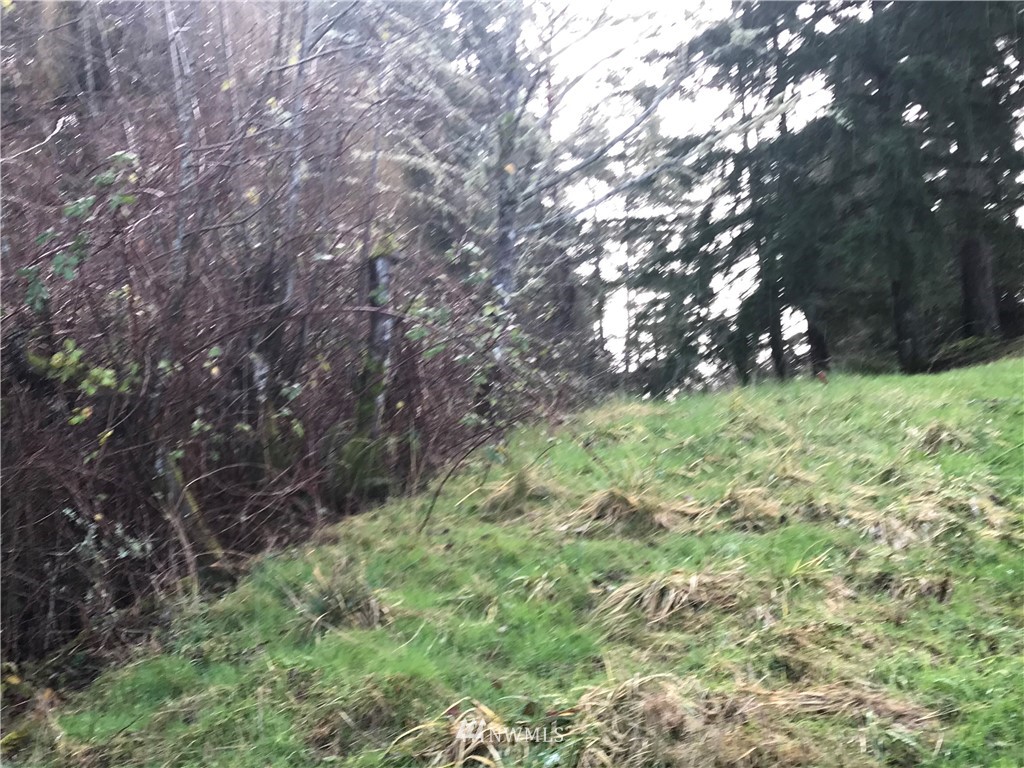 0 Outer Bay Road Anderson Island, WA 98303 - Photo 8 of 12