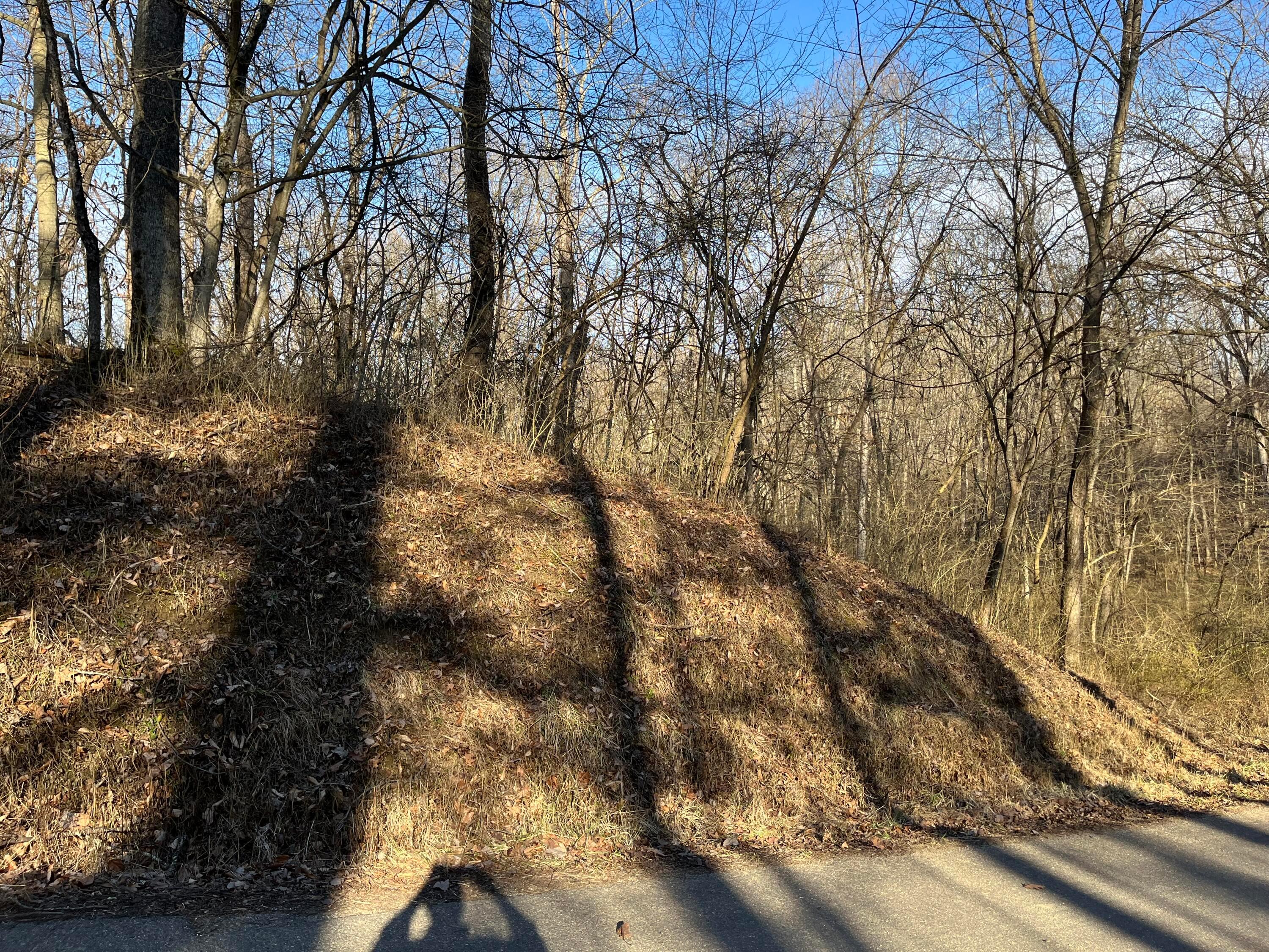 0 South Rehl Road Zanesville, OH 43701 - Photo 5 of 5 IMG_3282