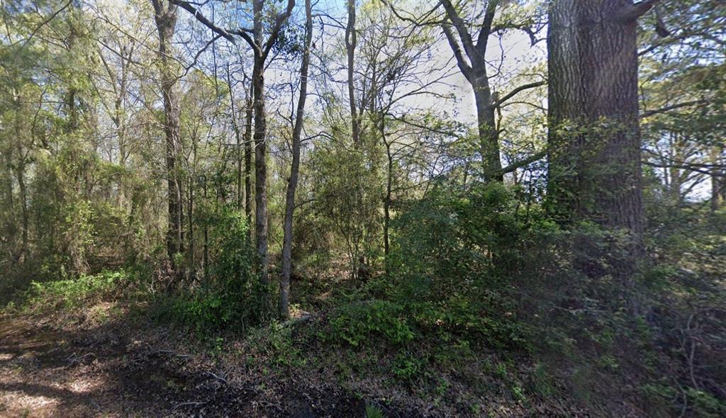 0 Calvin Liner Road Minden, LA 71055 - Photo 1 of 1 Gallery Image 1