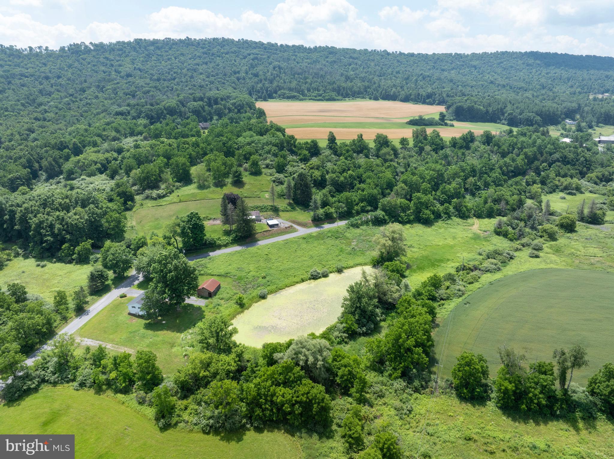 379 Mountain Back Road Spring Mills, PA 16875 - Photo 60 of 69 Gallery Image 60