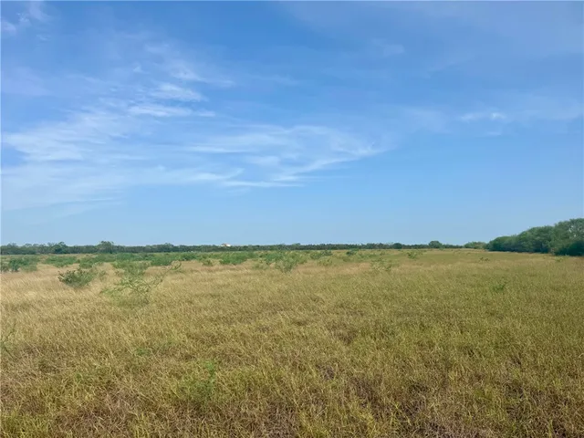 a view of an ocean and beach