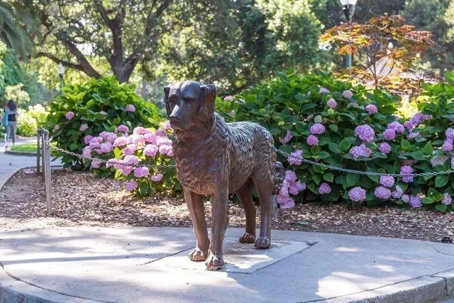 $1,300,000 | 10 9th Avenue, Unit 206, San Mateo, CA 94401