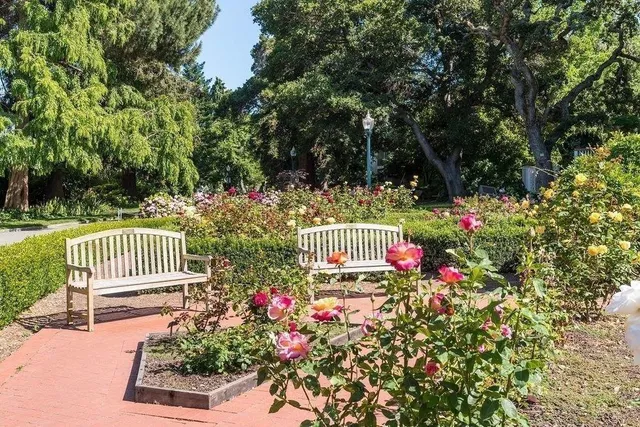 $1,300,000 | 10 9th Avenue, Unit 206, San Mateo, CA 94401