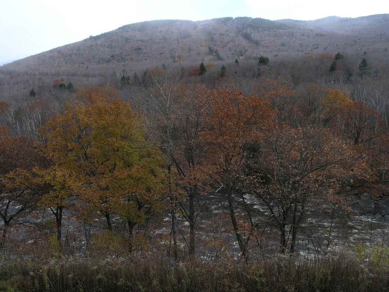 Lodge Road, Unit A308 Lincoln, NH 03251 - Photo 19 of 39 Gallery Image 19