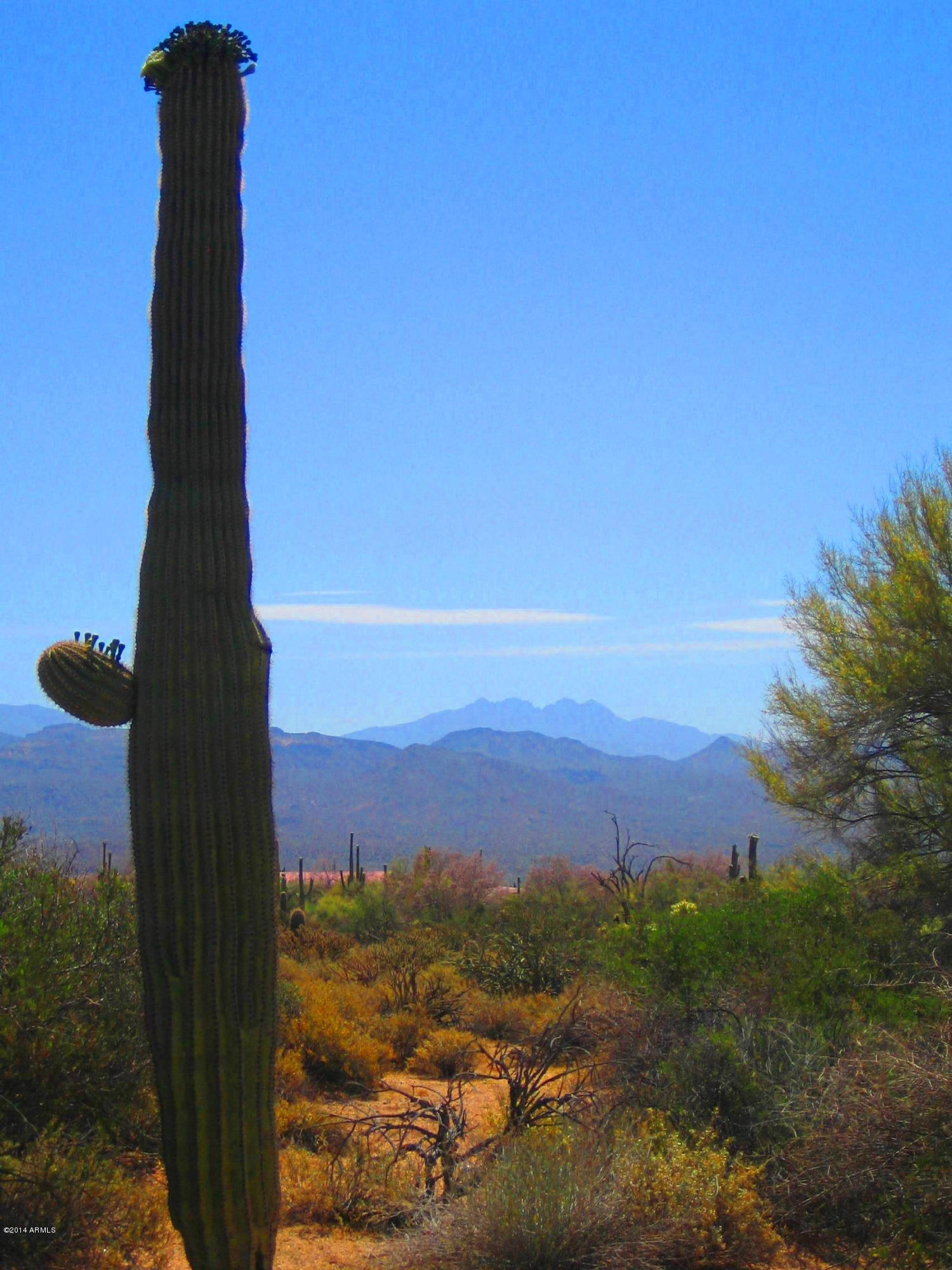 31300 North 173rd Place Rio Verde, AZ 85263 - Photo 15 of 40 IMG_0007