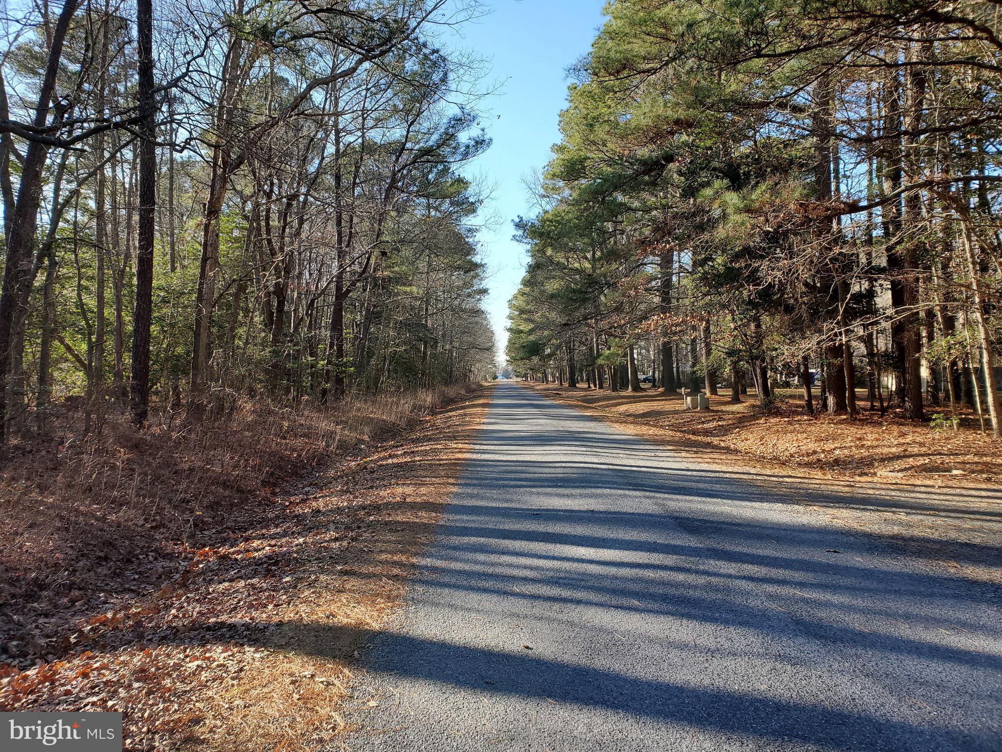 2130 Silver Goose Road Cambridge, MD 21613 - Photo 2 of 15 Silver Goose Road Toward Property