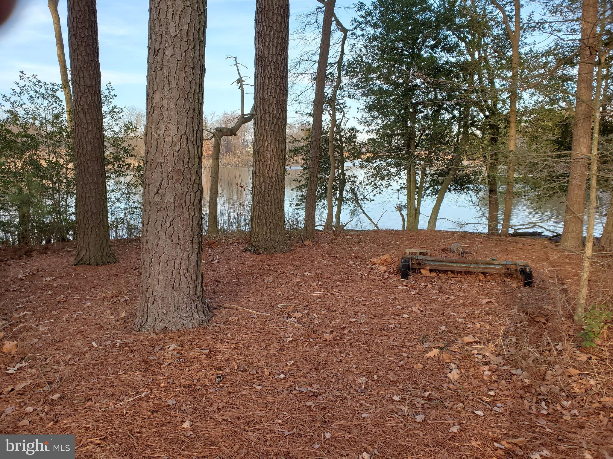 2130 Silver Goose Road Cambridge, MD 21613 - Photo 7 of 15 Exterior Rear