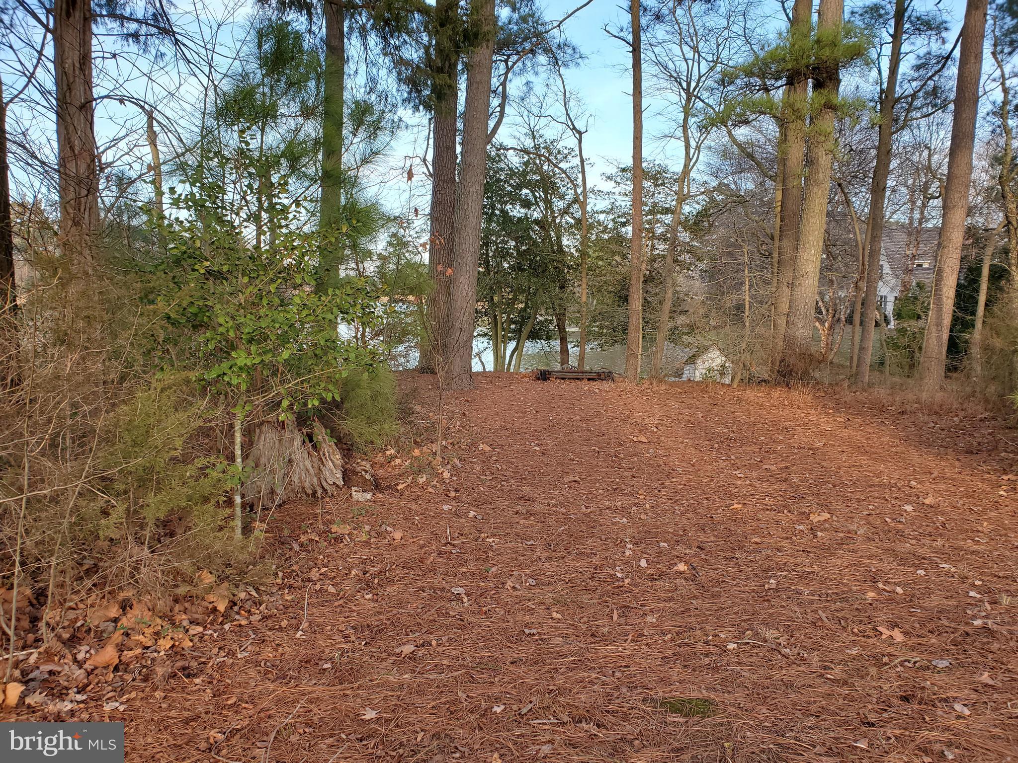 2130 Silver Goose Road Cambridge, MD 21613 - Photo 9 of 15 Walkway To Shore