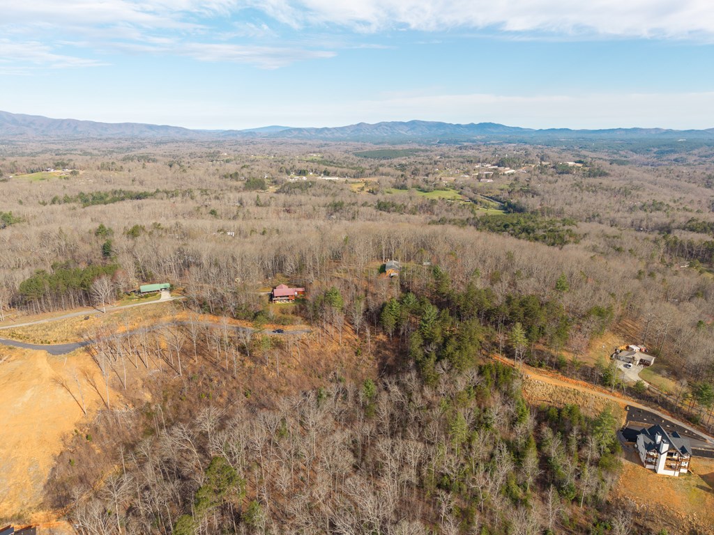 Lot 13 White Oak Circle Blue Ridge, GA 30513 - Photo 12 of 21 Gallery Image 12