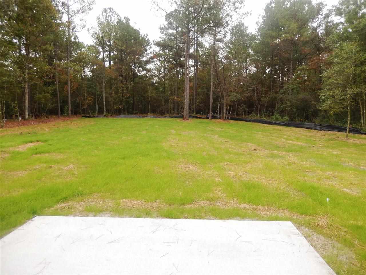 271 Luther Banks Road Richlands, NC 28574 - Photo 15 of 15 Additional Photo