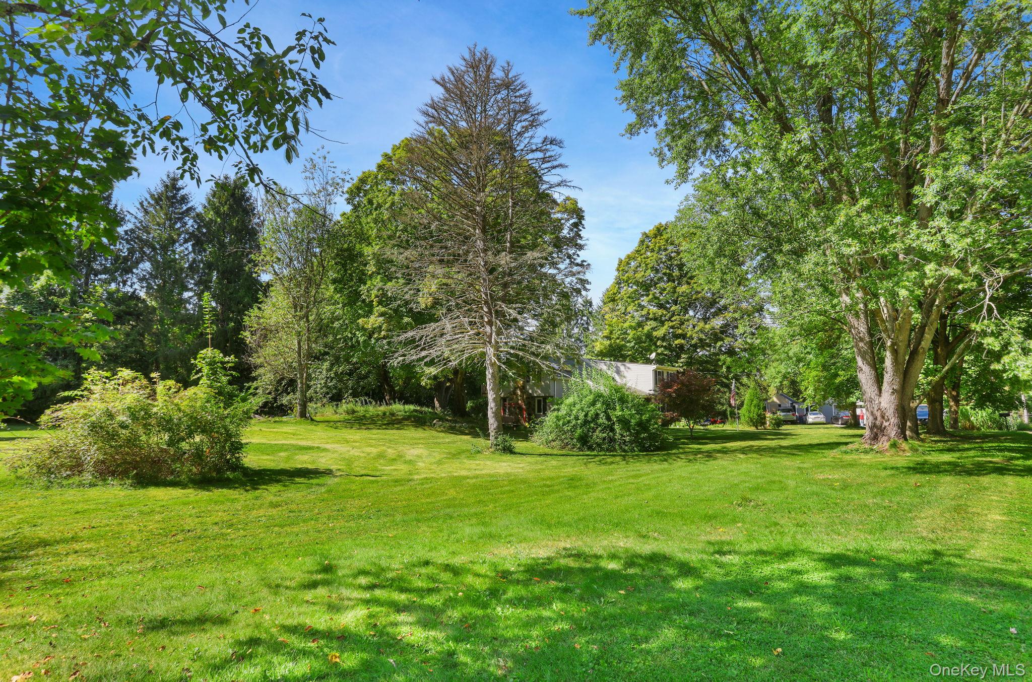 487 Chestnut Ridge Road Dover Plains, NY 12522 - Photo 38 of 41 a view of a park with trees and grass