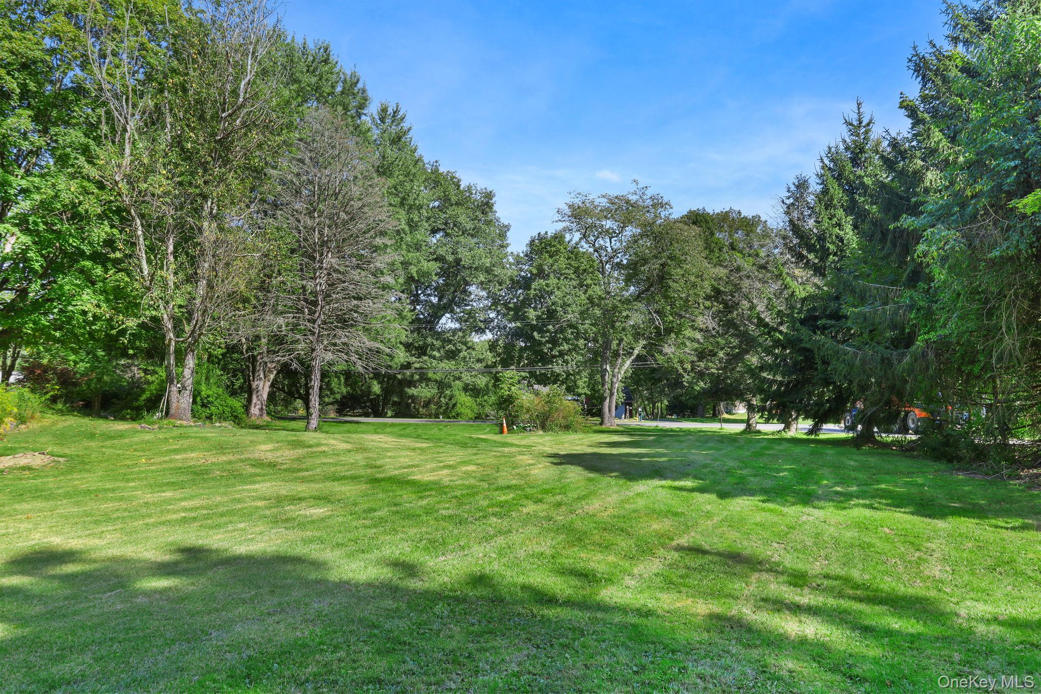 487 Chestnut Ridge Road Dover Plains, NY 12522 - Photo 39 of 41 a grassy field with trees in the background