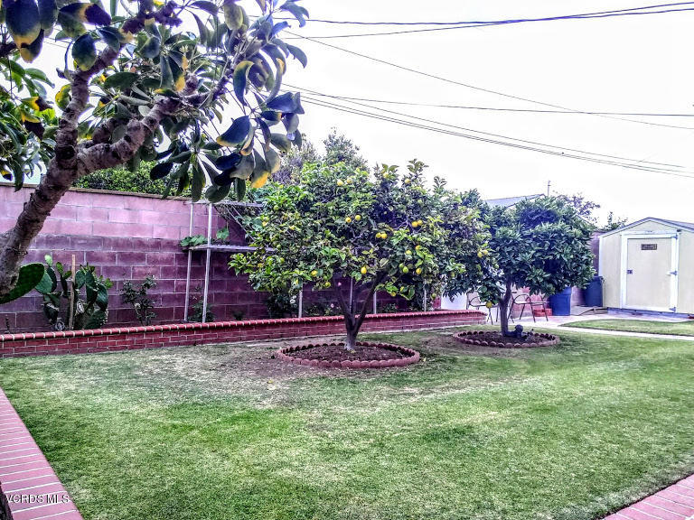 1004 Rialto Street Oxnard, CA 93035 - Photo 16 of 26 BackYard