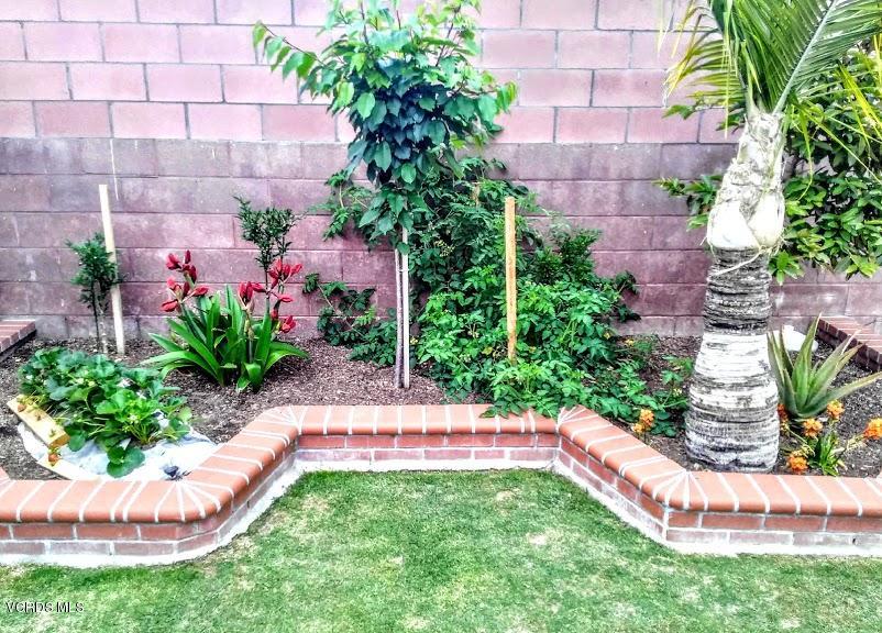 1004 Rialto Street Oxnard, CA 93035 - Photo 19 of 26 Garden 3